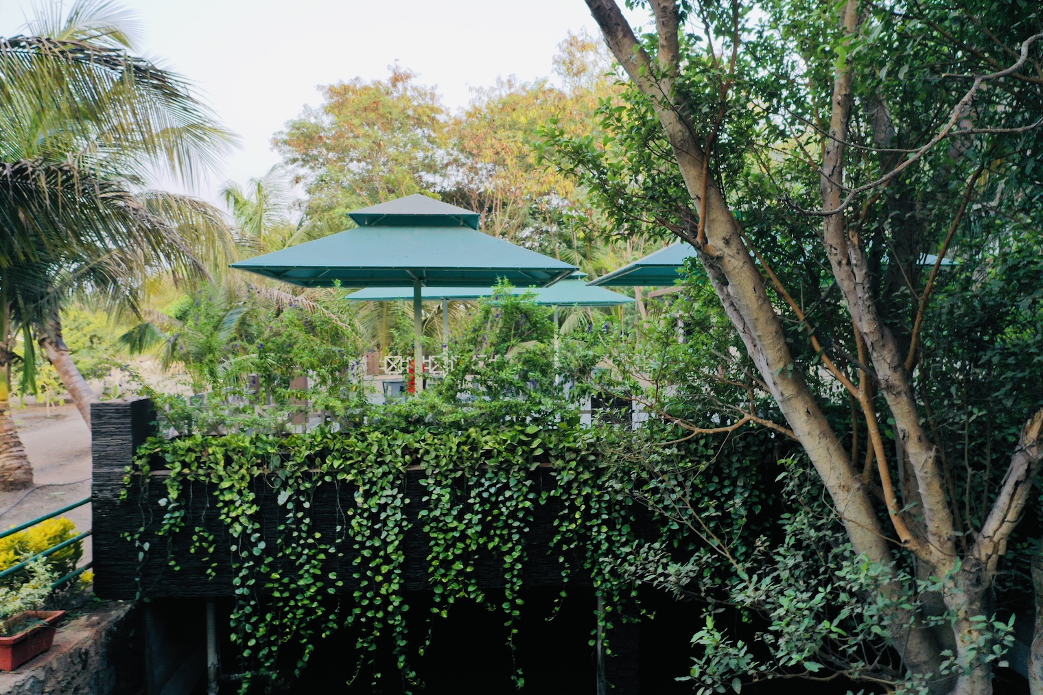 School Picnic Spots Around Pune | Family Outing | Picnic Near Pune